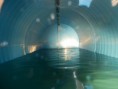 /album/fotogalerie/erstes-wasser-jpg/